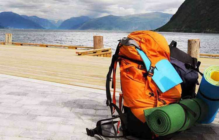 ভ্রমণ বন্ধ: আপনার যদি ফ্লুর মতো লক্ষণ যেমন, কাশি, জ্বর, সর্দি বা হাঁচির মতো সমস্যা থাকে তবে যেকোনো ধরনের ভ্রমণ করা থেকে বিরত থাকুন।