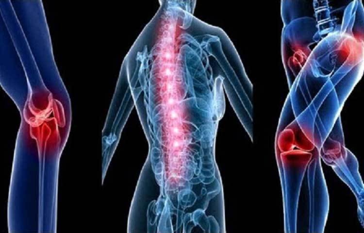 হাড় মজবুত করে: অনেক হার নরম থাকে, এ থেকে মুক্তি পেতে নিয়মিত পেছনে হাঁটুন।