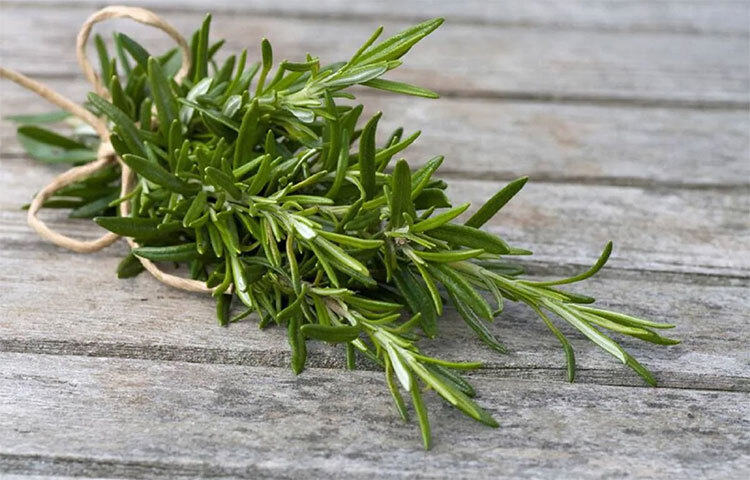 রোজমেরি, সেলেরি, পার্সলি পাতার গন্ধ খুব সুন্দর। তাই গ্রিন টি তৈরিতে এই হার্বস ব্যবহৃত হয়। ডায়েটেও রাখুন প্রাকৃতিক সুগন্ধি। ছবি: সংগৃহীত