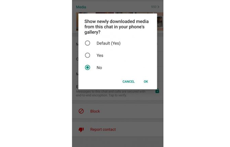 ‘নো’তে ক্লিক করে ওকে ক্লিক করুন।