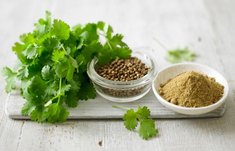 ধুনিয়া: শীতে অনেকের পেটে সমস্যা হয়। ধুনিয়া পেট, অন্ত্র এবং নার্ভকে শান্ত রাখে। তাছাড়া জটিল মাথাব্যথা অর্থাৎ মাইগ্রেন সারতেও ভূমিকা রাখে। এক চামচ শুকনো ধনে ফুটন্ত পানিতে ১৫ মিনিট ভিজিয়ে রাখার পর তা ছেঁকে একটু মধু মিশিয়ে পান করুন, হালকা বোধ করবেন।