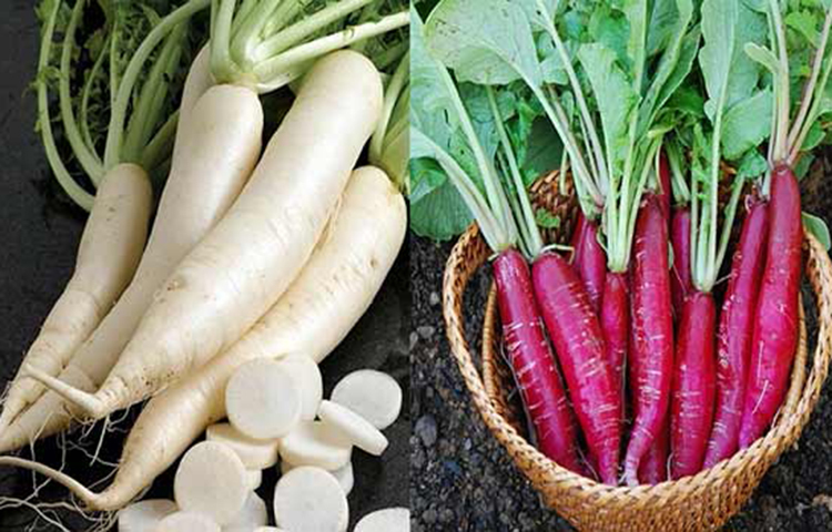 মূল জাতীয় সবজি: শীতকালে যেসব মূল জাতীয় সবজিগুলো পাওয়া যায়, যেমন- গাজর, মুলা, ওলকপি, শালগম এসব সবজিগুলোতে প্রচুর পরিমাণে ভিটামিন ‘সি’ ও ‘এ’ আছে। মুলা আলসার ও বদহজম দূর করতে সাহায্য করে। এছাড়া কিডনি ও পিত্ত থলিতে পাথর তৈরি প্রতিরোধ করতে সাহায্য করে। গাজরে রয়েছে বেটা ক্যারোটিন, ভিটামিন-এ। গাজর ঠান্ডা ও ফ্লু প্রতিরোধে সাহায্য করে।