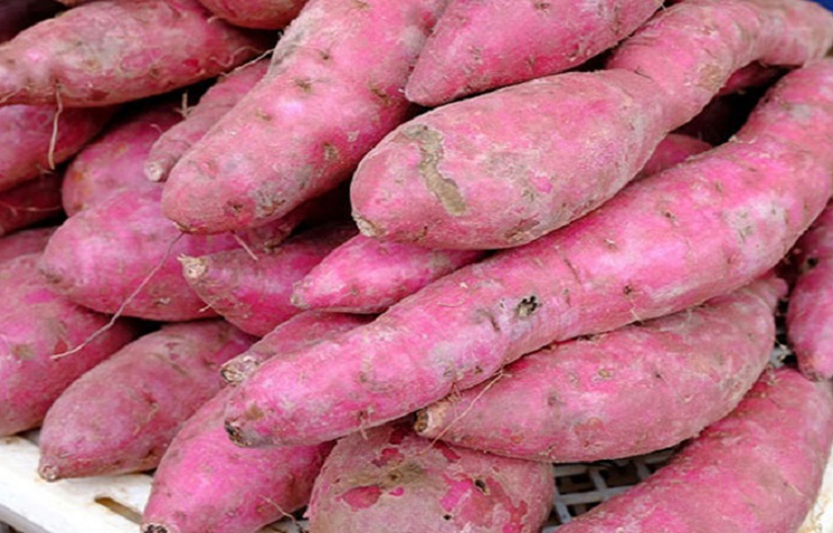 রাঙা আলু: রাঙা আলুর মধ্যে রয়েছে পটাশিয়াম, যা পুরুষের শরীরে বলবর্ধক হিসেবে কাজ করে। এছাড়া এই আলু বেশ পুষ্টিকর।