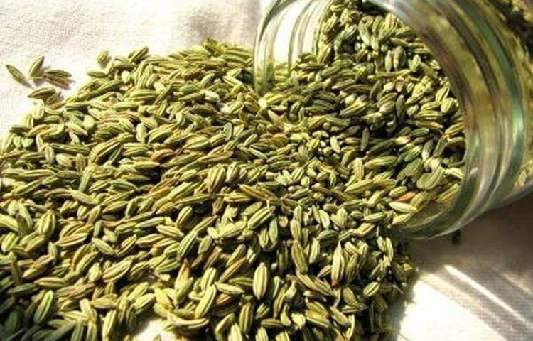 মৌরি: শীতকালে আধা চামচ মৌরি চা ১০ মিনিট গরম পানিতে ভিজিয়ে দিনে কয়েকবার পান করলে পেট এবং শ্বাসনালীর সমস্যা দূরে থাকে।