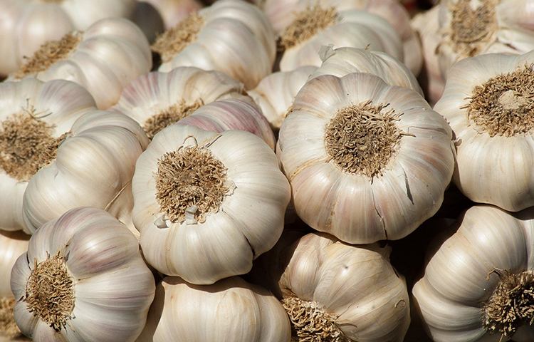 রসুন: শরীরে রক্ত চলাচল বৃদ্ধি করে। এছাড়া শরীরের ব্যথা দূর করে। তাই ভর্তার সঙ্গে রসুন অথবা রসুনের তেল ব্যবহার করতে পারেন।