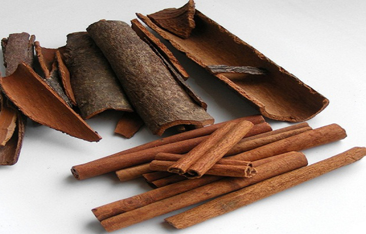 দারচিনি: দারচিনি শুধু খাবারে সুন্দর মিষ্টি ঘ্রাণই ছড়ায় না। এতে রয়েছে অ্যান্টি ব্যাকটেরিয়ার উপাদান, যা রক্তে শর্করার মাত্রা কমায়।