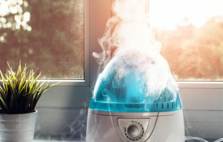 ঘরের তাপমাত্রা ঠিক রাখতে ও স্যাঁতস্যাঁতে ভাব দূর করতে ‘হিউমিডিফায়ার’ খুব উপকারী। ঘরের তাপমাত্রা নিয়ন্ত্রণে থাকলে আসবাবও দীর্ঘস্থায়ী হবে। খেয়াল রাখতে হবে বৃষ্টির পানি যেন আসবাবের গায়ে না লাগে। ছবি: সংগৃহীত