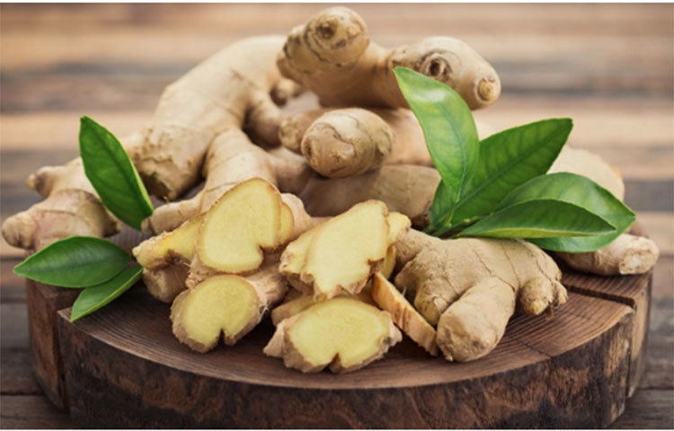 সর্দি-কাশিতে অত্যন্ত উপকারী আদা। সর্দি-কাশি হলে সকালে খালি পেটে আদা-তুলসিপাতার রস খেলে ম্যাজিকের মতো কাজ হয়। তাই দ্রুত সর্দি-কাশি সারাতে আদা খান নিয়মিত।