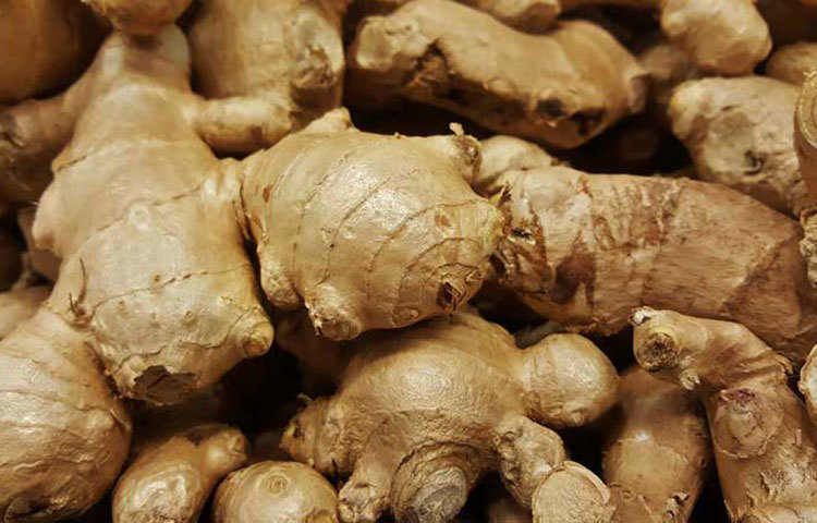 আদা যেহেতু হজম ক্ষমতা বাড়াতে সাহায্য করে, তাই নিয়মিত আদা খেলে তা ওজন কমাতেও সহায়ক হবে। নিয়মিত আদা খেলে ওজন বাড়ার ভয় থাকবে না।