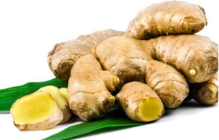 ক্যান্সার প্রতিরোধেও আদার উপকারিতা প্রমাণিত। শরীরের ক্যান্সার সেলগুলোকে নিষ্ক্রিয় করতে সাহায্য করে আদা। বিশেষ করে ওভারিয়ান ক্যান্সার সেল ধ্বংস করার ক্ষমতা রয়েছে আদার মধ্যে।