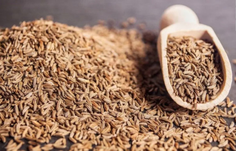 জিরাতে উপস্থিত বেশ কিছু উপকারি উপাদান শরীরে প্রবেশ করার পর বুকে মিউকাসের মাত্রা বৃদ্ধি পাওয়ার সম্ভাবনা কমায়, সেই সঙ্গে ফুসফুসের কর্মক্ষমতাও বৃদ্ধি পায়। ফলে নানাবিধ রেসপিরেটরি ডিজিজে আক্রান্ত হওয়ার আশঙ্কা হ্রাস পায়।