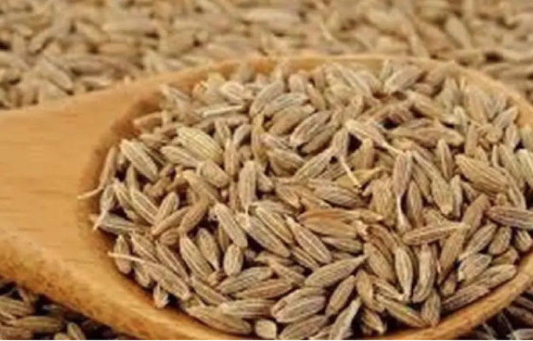 জিরাতে থাকে প্রচুর পরিমাণে ফাইবার। এই উপাদানটি শরীরে প্রবেশ করার পর মেটাবলিজম রেট বাড়িয়ে দেয়। ফাইবার ওজন কমাতে সাহায্য করে থাকে। ফাইবার সমৃদ্ধ খাবার খেলে অনেকক্ষণ পর্যন্ত পেট ভরা থাকে। ফলে বারে বারে খাবার খাওয়ার ইচ্ছা চলে যায়।