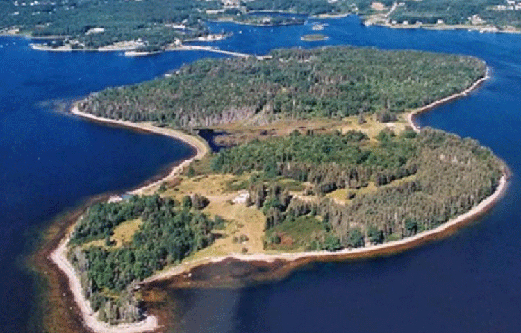 পাম্প চালিয়েও সেই জল বার করে খোঁড়ার কাজ আর শুরু করা যায়নি। সেটা ছিল ১৮০৫ সাল। অনস্লো নামে এক কোম্পানি তখন খোঁজ চালাচ্ছিল গুপ্তধনের। সেই থেকে পরবর্তী ৪০ বছর আর খোঁজা হয়নি গুপ্তধন।