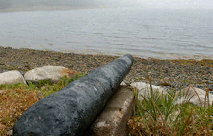 এই ‘লুকনো’ সম্পদের লোভে প্রাণ গিয়েছে বহু মানুষের। কিন্তু আজ পর্যন্ত রহস্যের সমাধান কেউ করতে পারেননি। উদ্ধার হয়নি গুপ্তধনও। রহস্য বুকে চেপে শত শত বছর ধরে একইভাবে টাকার ফাঁদ পেতে রয়েছে এই দ্বীপ, ওক আইল্যান্ড।