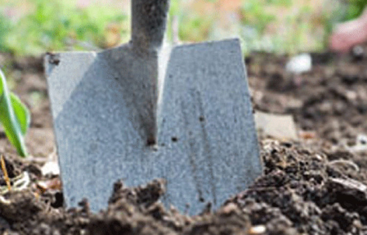 সে দিনই ম্যাকগিনিস বুঝে ফেলেছিলেন, রহস্যজনক, মূল্যবান কিছু লুকিয়ে রাখা হয়েছে এই দ্বীপে। পরদিন আরও দুই বন্ধুর সঙ্গে ফিরে এসে জায়গাটা খুঁড়তে শুরু করেন।