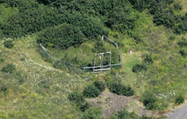 সে দিন ম্যাকগিনিস এবং তার বন্ধুরা মাটির দু’ফুট নীচে একটা বড় পাথর দেখতে পান। উত্তেজনার সঙ্গে সেই পাথরটা টেনে বার করেন তারা। কিন্তু তার নীচে কোনো গুপ্তধন ছিল না।