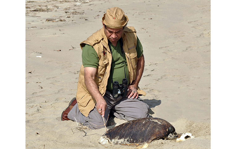 মুকিত মজুমদার বাবু নিয়মিত লিখছেন বিভিন্ন জাতীয় দৈনিকে। প্রকৃতির প্রতি দায়বদ্ধতা ও চেতনার বিষয়টি প্রাধান্য পাচ্ছে তার লেখনীতে। সম্পাদনা করছেন ‘প্রকৃতি ও জীবন’ শিরোনামে জাতীয় দৈনিকে একটি পূর্ণাঙ্গ পাক্ষিক পাতা। প্রতি বছর একুশে বইমেলায় প্রকাশিত হচ্ছে তার প্রকৃতিবিষয়ক গ্রন্থ।