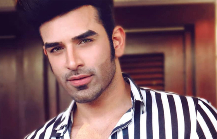 রিয়েলিটি শো পরশের কাছে নতুন কিছু নয়। এর আগে স্প্লিটসভিলা ৫-এ জয়ী হয়েছিলেন পরশ। এবার বিগ বস ১৩-এ আসতে চলেছেন তিনি।