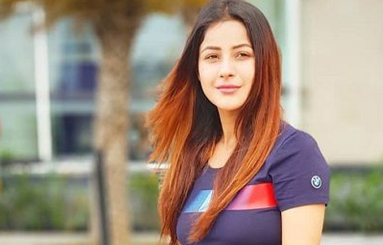 উত্তরের জনপ্রিয় মডেল ও অভিনেত্রী শেহনাজ গিল থাকছেন বিগ বস ১৩-এর ঘরে।