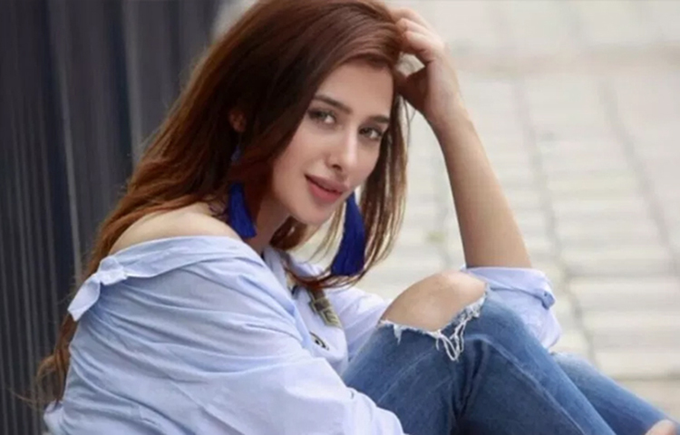 সফল মডেল ও ছোট পর্দার অভিনেত্রী মাহিরা শর্মা এবারের বিগ বসের কনিষ্ঠতম সদস্যদের মধ্যে একজন।