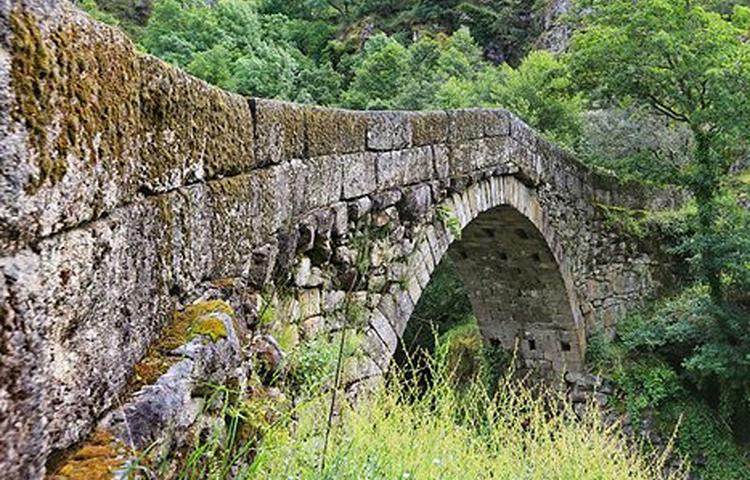 নদী পার করা তার পক্ষে অসম্ভব হয়ে পড়ে। ডাকাতের ঈশ্বরের উপর বিশ্বাস ছিল না। সে কারণে, সে শয়তানের আরাধনা শুরু করে।
