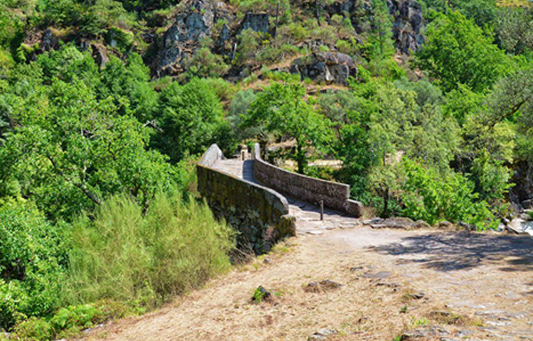 সেই রাতেই নাকি প্রচণ্ড প্রাকৃতিক দুর্যোগ শুরু হয়ে যায়, আর তার মধ্যেই ভক্তের ডাকে সাড়া দিয়ে শয়তান এসে হাজির হয় তার সামনে।