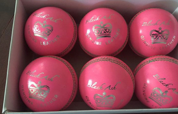 বাংলাদেশের কোনো ক্রিকেটার এখন পর্যন্ত গোলাপি বলে প্র্যাকটিসের সুযোগ পাননি। গোলাপি বলে ম্যাচ খেলা তো দূরের কথা! তবে বাংলাদেশ ক্রিকেট বোর্ড বিসিসিআই-এর প্রস্তাব পেয়েই গোলাপি বলে টেস্ট খেলতে রাজি হয়েছে।