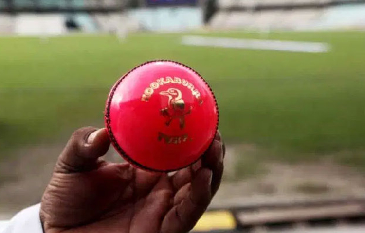 ভারত-বাংলাদেশ টেস্ট ম্যাচের জন্য গোলাপি বল সরবরাহ করবে এসজি সংস্থা। বিসিসিআই প্রেসিডেন্ট সৌরভ গাঙ্গুলি ইতিমধ্যে এসজি-র কাছে পর্যাপ্ত বল সরবরাহ করার অনুরোধ করেছেন। সেইমতো কাজ শুরু করেছে এসজি। টেস্ট শুরু হওয়ার আগে ক্রিকেটাররা যেন গোলাপি বলে প্র্যাকটিস করতে পারেন, সৌরভ সেদিকে নজর রেখেছেন।