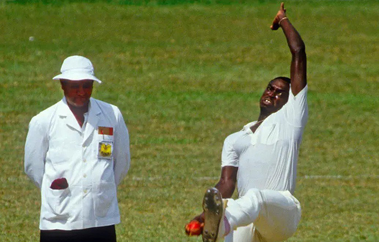 নিজের সময়ে প্যাটারসন ছিলেন বিশ্বের দ্রুততম বোলার। তিনি যত বোলারের মুখোমুখি হয়েছেন, প্যাটারসন তাদের মধ্যে অন্যতম ভয়ঙ্কর ছিলেন, বলেছেন টেন্ডুলকার। মাত্র ২৮টি টেস্টে প্যাটারসনের শিকার ৯৩টি উইকেট। ৫৯ ওয়ানডে খেলে পেয়েছেন ৯০ টি উইকেট। ১৬১টি প্রথম শ্রেণির ম্যাচে উইকেট পেয়েছেন ৪৯৩টি।