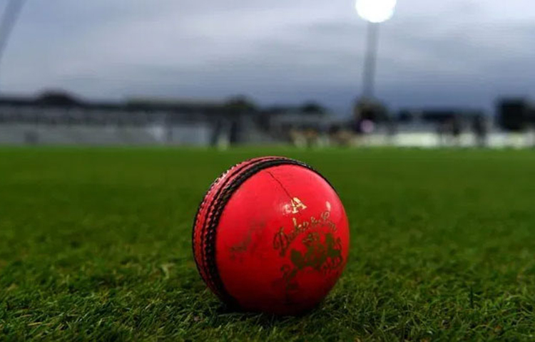 এর আগে কোকাবুরা সংস্থার প্রস্তুত করা গোলাপি বলে আন্তর্জাতিক ক্রিকেটে খেলা হয়েছে। এসজি-র প্রস্তুত করা গোলাপি বলে এখন পর্যন্ত আন্তর্জাতিক ক্রিকেট খেলা হয়নি। তবে দক্ষিণ আফ্রিকার বিরুদ্ধে সিরিজে লাল বলের সরবরাহ করেছিল এসজি।