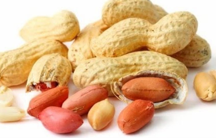 রক্তাস্বল্পতার হাত থেকে মুক্তি পেতে হলে প্রতিদিন চীনাবাদাম খাওয়া জরুরি। চীনাবাদামে থাকা আয়রন আপনাকে রক্তাস্বল্পতার সমস্যাকে দূরে রাখবে।