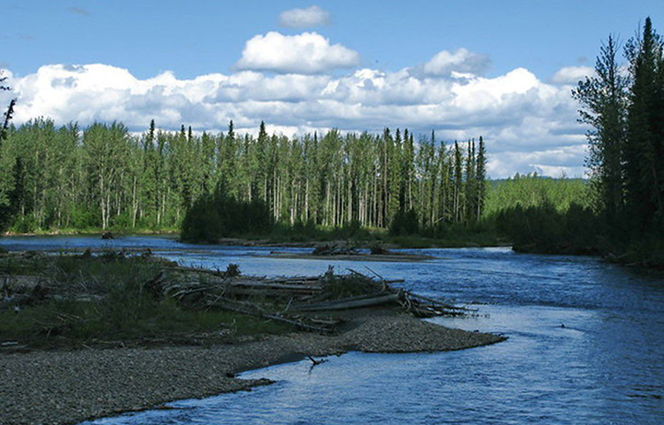১৮৯৬ সালে ১৬ অগস্ট প্রথম এই নদীতে সোনার সন্ধান মেলে। মার্কিন খনিজ সন্ধানকারী জর্জ কারম্যাক প্রথম এর সন্ধান দেন। এই খবর ছড়িয়ে পড়ার পর ১৮৯৬ সাল থেকে ১৮৯৯ সাল পর্যন্ত রীতিমতো গোল্ড রাশ হয় ডসন শহরের ক্লনডাইক নদীতে।