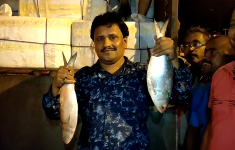 ভারতের ৭ বছরের অপেক্ষা শেষ। কলকাতার বাজারে পৌঁছছে চলেছে বাংলাদেশের ইলিশ। সোমবারই পেট্রাপোল সীমান্ত দিয়ে ভারতে ঢুকেছে ইলিশভর্তি ৮টি ট্রাক। পাইকারি বাজারে নিলামের পর মঙ্গলবার সকালেই তা পৌঁছে গেছে কলকাতার বাজারগুলোতে।