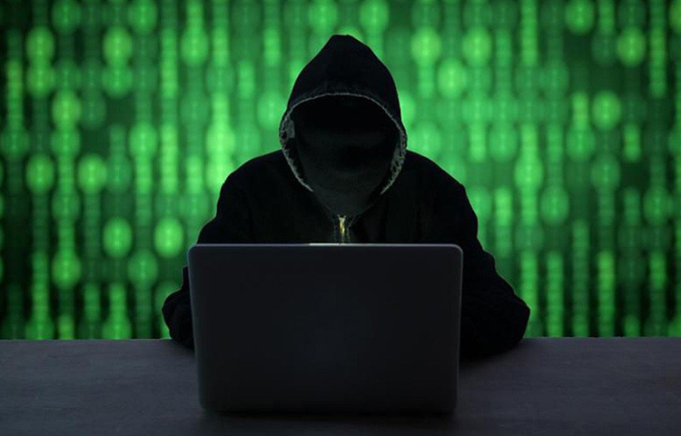 এ ছাড়াও এই ল্যাপটপে রয়েছে সো বিগ এবং ডার্ক টাকিলা-র মতো ভয়ানক ম্যালওয়্যার।