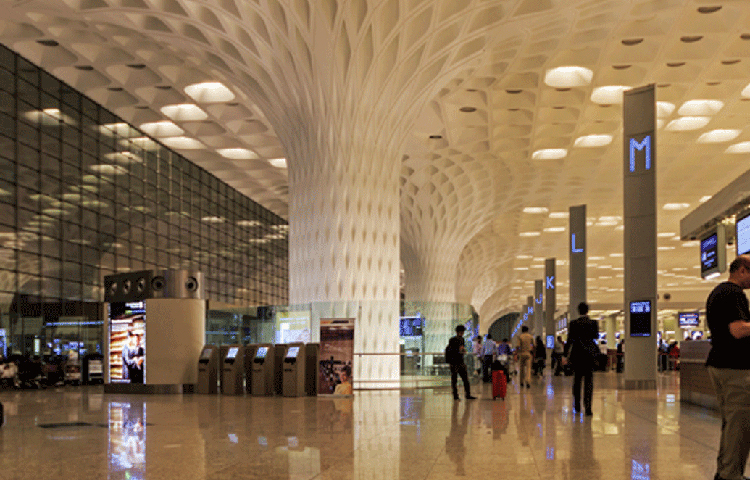 তার অন্য কিছু করার ইচ্ছা করছিল। মুম্বাই বিমানবন্দরে একটি আর্টস অ্যান্ড ক্রাফ্টসের দোকান তার ভাগ্য বদলে দিল। ওই দোকানে একটি কাঠের হাতি ৪ হাজার টাকায় বিক্রি করছিল দোকানকার।