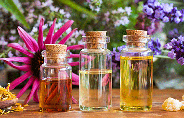 ক্রমে শিনীলের পরিশ্রমে ব্যবসার প্রসার ঘটতে শুরু করে। মুম্বাইয়ের এক বিখ্যাত ধনি পরিবার তার প্রোডাক্টের নমুনা দেখতে আগ্রহী হয়। নমুনা ব্যবহার করে ভীষণ খুশি হয়ে শিনীলের থেকে অনেক প্রোডাক্ট কিনে নেন তারা।