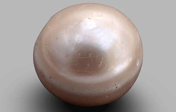 ঝলমল করছে শরীর। গোলাপি আভা যেন খসে পড়ছে। যেন এখনই পলিশ হয়ে এসেছে।