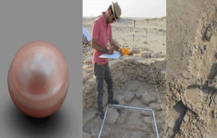 কিন্তু জানেন ছবিতে যে গোলাকার মুক্তা দেখতে পাচ্ছেন, তা ৮০০০ বছরের পুরনো! ৮০০০ বছর আগে কোনো এক ঝিনুকের বুকে জন্ম হয়েছিল এই মুক্তার।