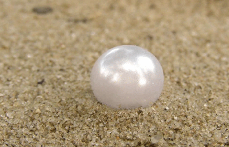 তখন অর্থাৎ নব্য প্রস্তর যুগে বিনিময়ের মাধ্যম ছিল মুক্তা। মুক্তা বিনিময়ের মাধ্যমে তৎকালীন মেসোপটেমিয়া বর্তমান ইরাকের লোকেরা জিনিস কেনাবেচা করতেন।