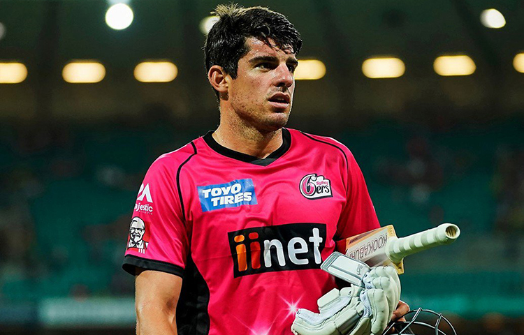 ২০০৯ সালের আইপিএলে প্রথমবার দেখা গিয়েছিল মোজেস হেনরিকেকে। ২০১৬ সালে সানরাইজার্স হায়দরাবাদ আইপিএল চ্যাম্পিয়ন হয়েছিল। সেবার হেনরিকে চ্যাম্পিয়ন দলের সদস্য ছিলেন। গতবারের আইপিএল নিলামে কিংস ইলেভেন পাঞ্জাব নিয়েছিল হেনরিকেকে।