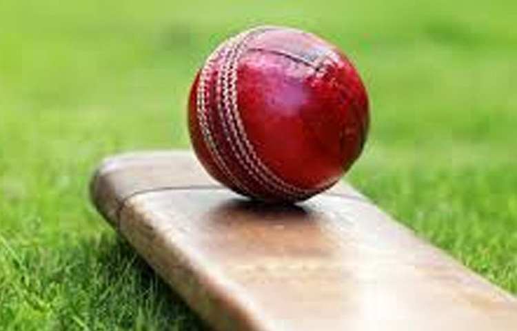 তদন্তে জানা গিয়েছে, দীপকের কাজ ছিল ক্রিকেটারদের সঙ্গে যোগাযোগ করে তাদের প্রলুব্ধ করা। যাতে তারা নির্দিষ্ট ম্যাচ নিয়ে তথ্য যোগান দেন। এখন ছোট ছোট ক্রিকেট লিগ ঘিরেও বাজি ধরা হয়। ফলে যে কোনো তথ্যই খুব গুরুত্বপূর্ণ হয়ে দেখা দেয়।