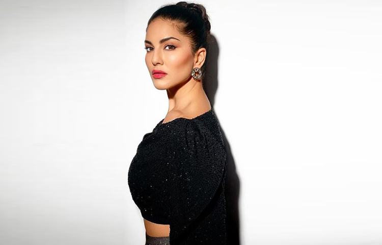 যেমন ভাবনা তেমনি কাজ। নিজেদের কম্পানি খোলার পর একসঙ্গে কাজ শুরু করেন সানি, ড্যানিয়েল।