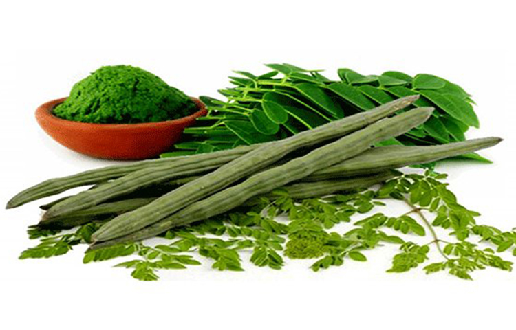 সজনে পাতা : এতে আছে লেবুর চেয়ে ৭ গুণ বেশি ভিটামিন সি। দুধের চেয়ে বেশি ৪ গুণ ক্যালসিয়াম, ২ গুণ বেশি আমিষ। গাজরের চেয়ে বেশি ৪ গুণ বেশি ভিটামিন এ, কলার চেয়ে বেশি তিনগুণ বেশি পটাসিয়াম।