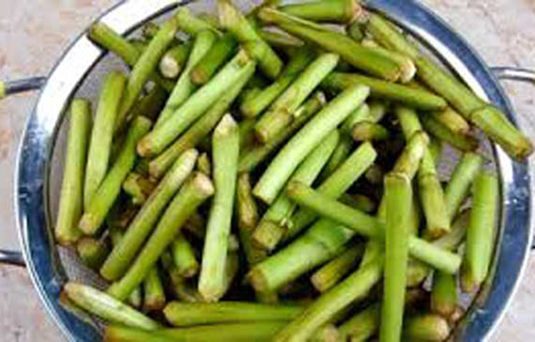 কচুর লতি: রক্তস্বল্পতা দূর করে, রোগ প্রতিরোধ ক্ষমতা বাড়ায়, মস্তিকের স্বাস্থ্য ভালো রাখে, হাড়ের গঠন শক্ত রাখে, ত্বক এবং চুল ভালো রাখে।