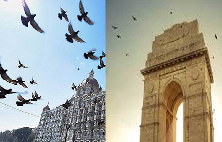 ডিজিটাল নিরাপত্তার দিক দিয়ে বিশ্বের ৬০টি দেশের মধ্যে ৪৭ নম্বর স্থানে আছে ভারতের দু’টি শহর। মুম্বই ও দিল্লি। তালিকার শেষ স্থানে ৬০ নম্বর শহর হল ইয়াঙ্গন।