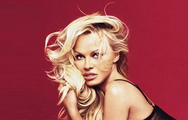 পামেলা অ্যান্ডারসন: বিগ বস ৪-এ খুব কম দিনের জন্য ছিলেন পামেলা। তিন দিন মাত্র ছিলেন। আর এই তিন দিনের জন্য তাকে আড়াই কোটি টাকা দেয়া হয়েছিল।