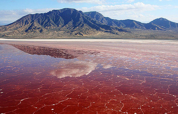 লাল টুকটুকে রঙের নদী।