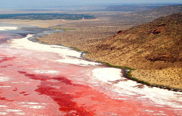 হ্রদটির নাম নেট্রন। দক্ষিণ আফ্রিকার দেশ তানজানিয়ার উত্তর প্রান্তে রয়েছে এই হ্রদটি। এটি একটি লবণাক্ত হ্রদ।