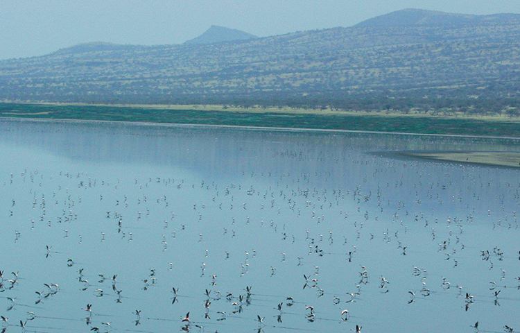 দৈর্ঘ্যে ৫৭ কিলোমিটার এবং প্রস্থে ২২ কিলোমিটার নেট্রন হ্রদে এওয়াসো নায়গ্রো নদীর জল এসে পড়ে। আশপাশের বেশ কয়েকটি উষ্ণ প্রস্রবণের জলও এই হ্রদে পড়ে। ফলে বিভিন্ন খনিজে সমৃদ্ধ এই হ্রদের জল।