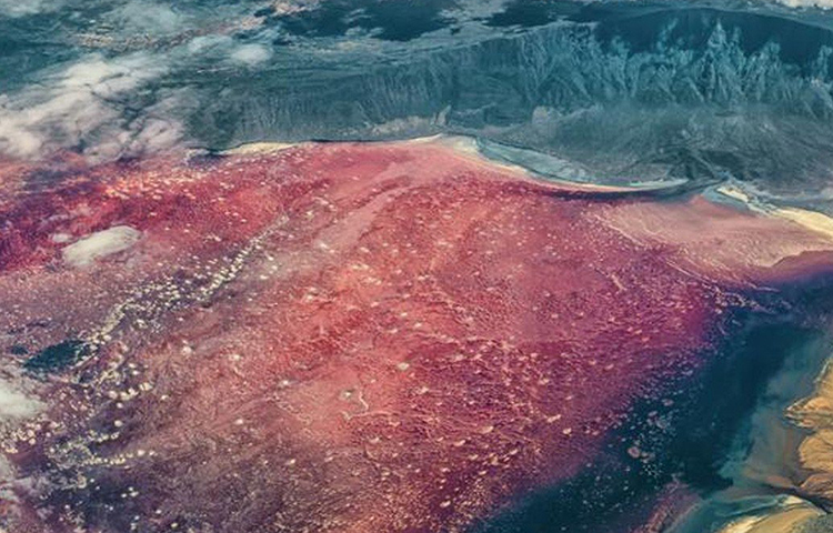 এর পিছনের রহস্য জানতে শুরু হয় গবেষণা। জানা যায়, সোডিয়াম কার্বোনেট এবং সোডার পরিমাণ অত্যধিক বেশি এই হ্রদের জলে। প্রচুর সোডিয়াম ও কার্বোনেট যুক্ত ট্র্যাকাইট লাভা দিয়ে প্রায় ২৬ লাখ বছর আগে প্লিসটোসিন যুগে তৈরি হয়েছে নেট্রন হ্রদের তলদেশ।